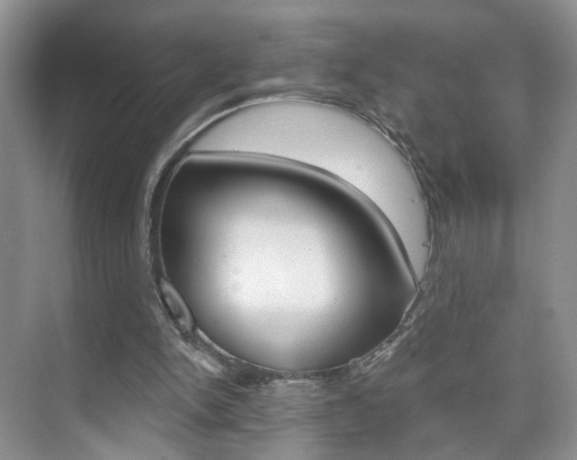 X0000076220150200609280930