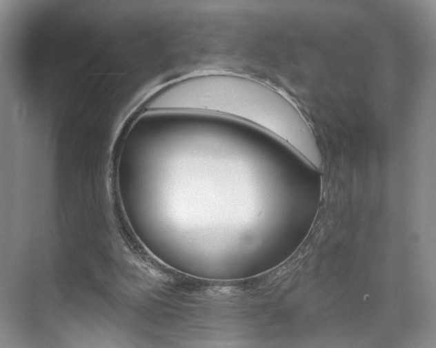 X0000076220152200609280930