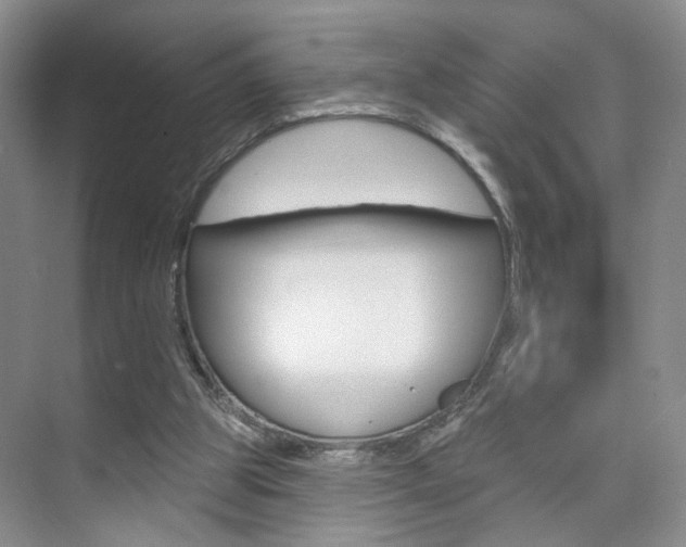 X0000076220153200609280930