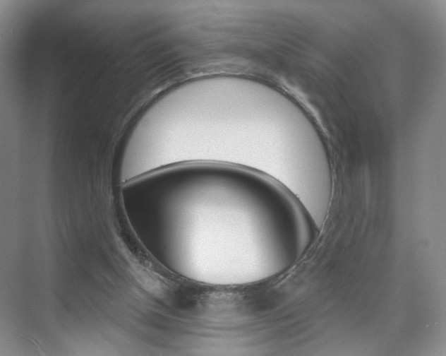 X0000076220154200609280930