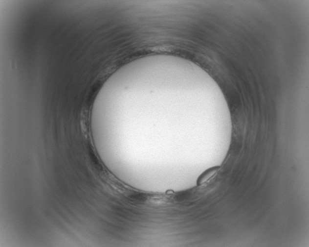X0000076220175200609280931