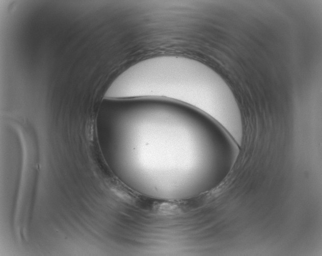 X0000076220180200609280931