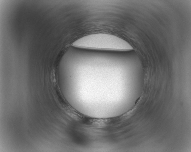 X0000076220182200609280931
