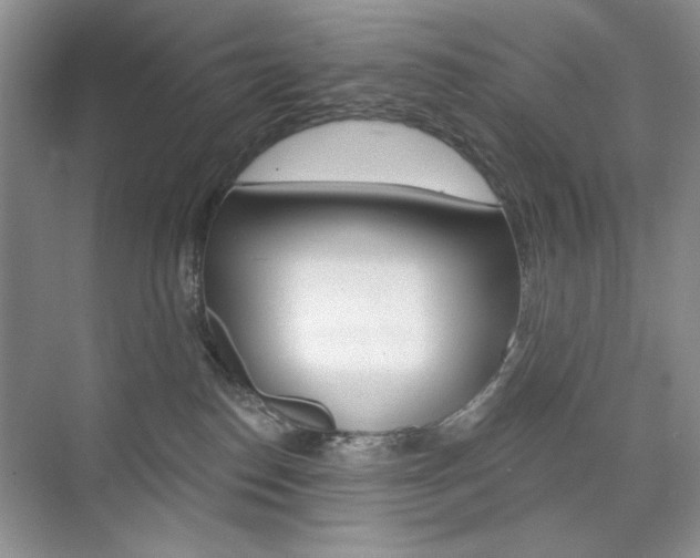 X0000076220186200609280931