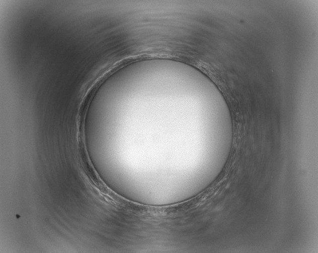 X0000076220194200609280930
