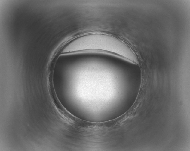 X0000076220197200609280930