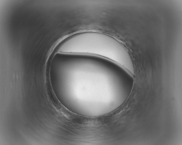 X0000076220200200609280930