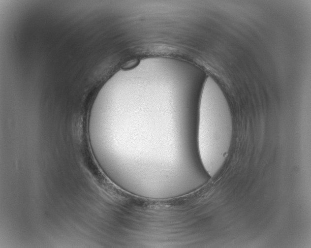 X0000076220206200609280930