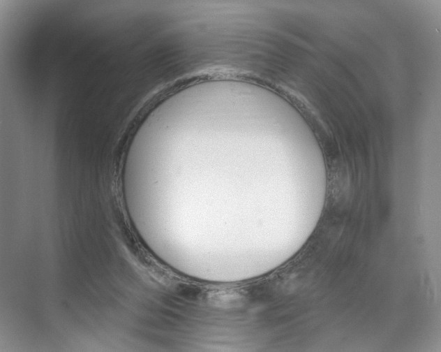 X0000076220208200609280930