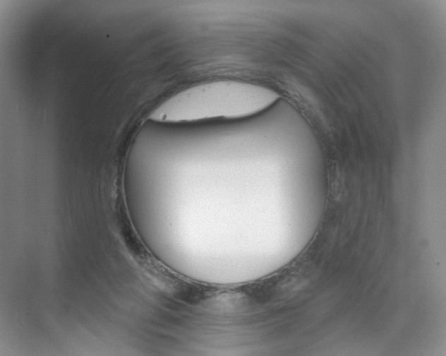 X0000076220210200609280930