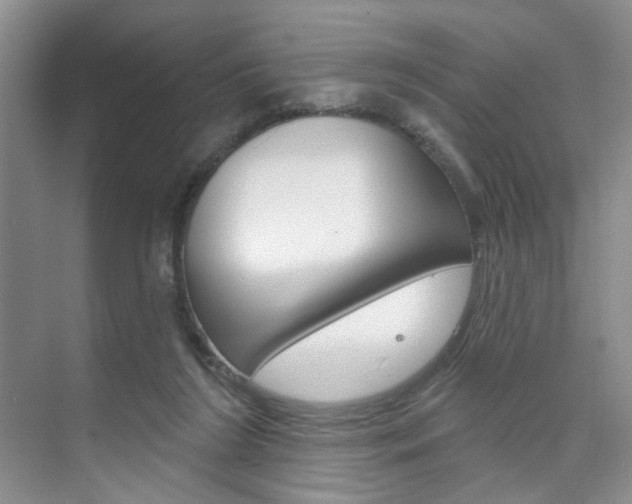 X0000076220212200609280930