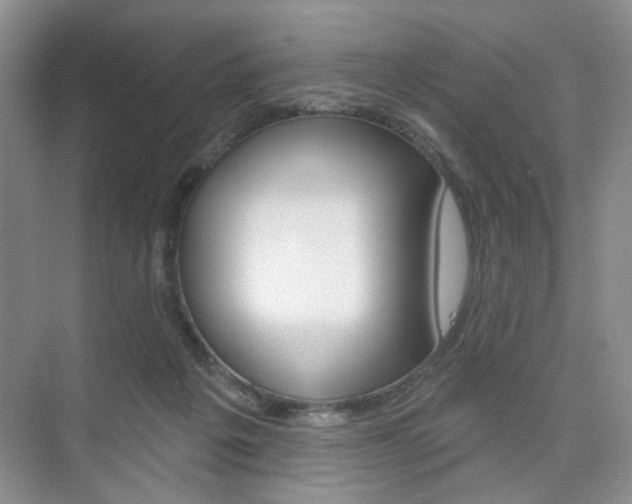 X0000076220217200609280930