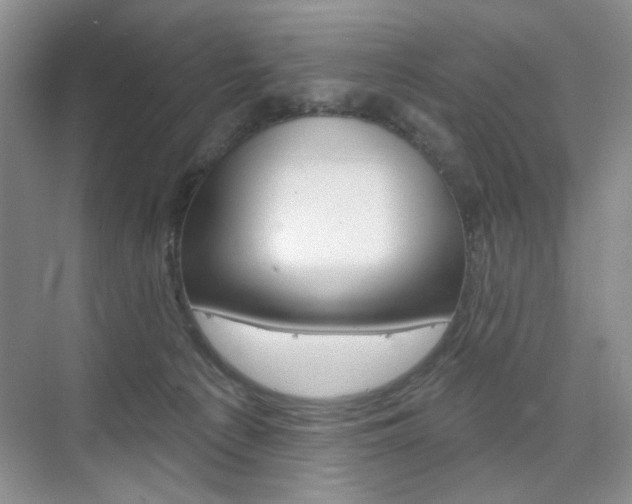 X0000076220225200609280930