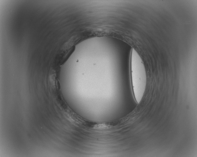 X0000076220231200609280930