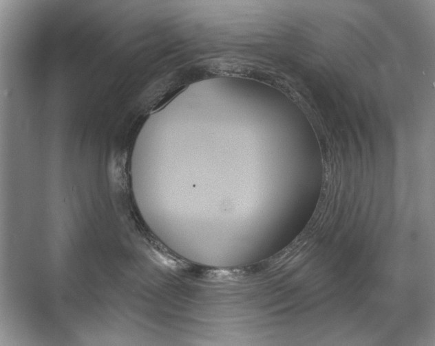 X0000076220239200609280929