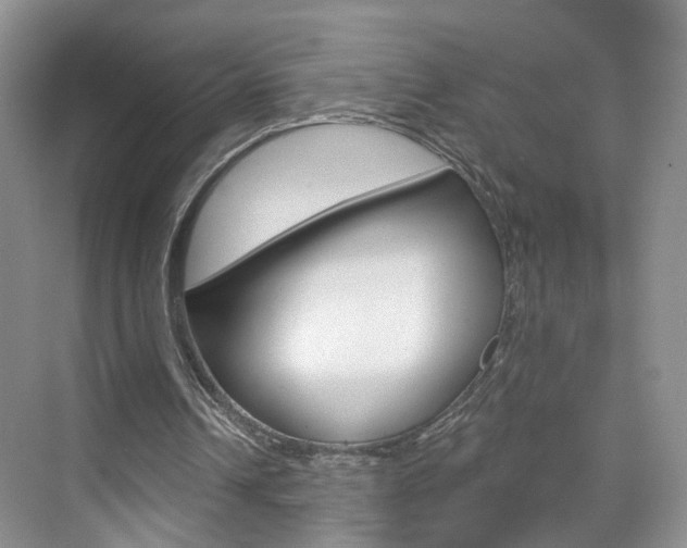 X0000076220242200609280929