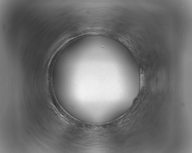 X0000076220243200609280929