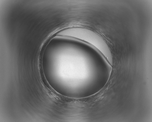 X0000076220244200609280929