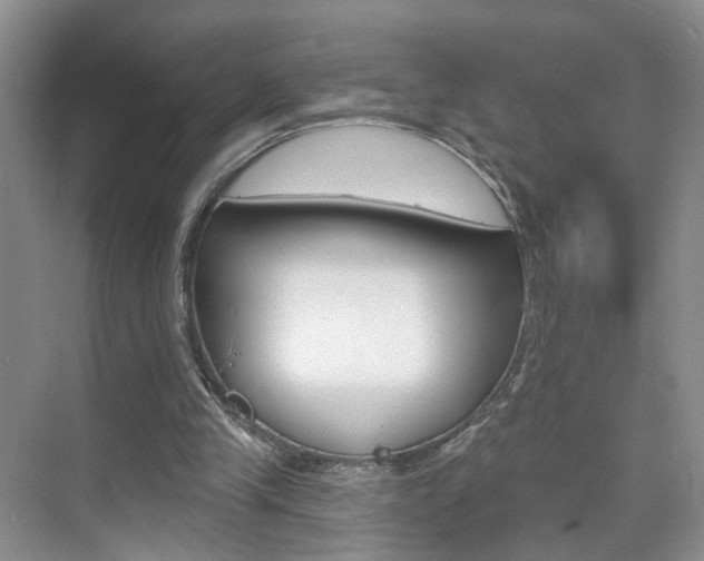 X0000076220245200609280929