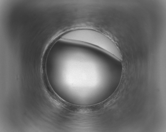 X0000076220248200609280929