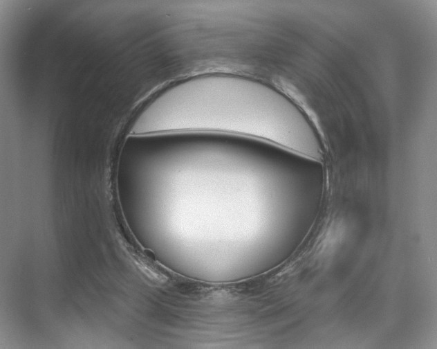 X0000076220249200609280929