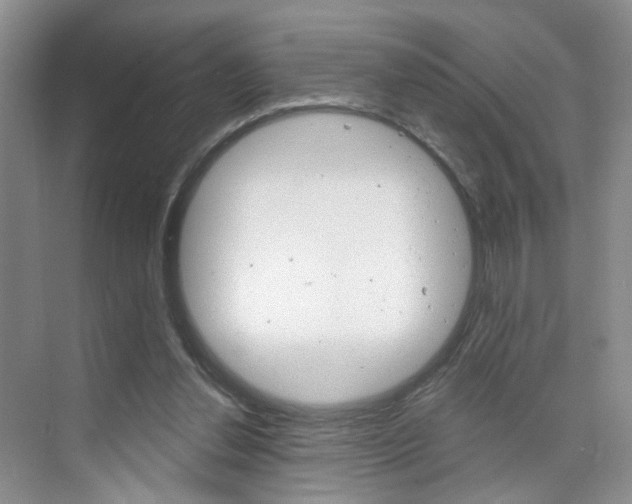 X0000076220252200609280929
