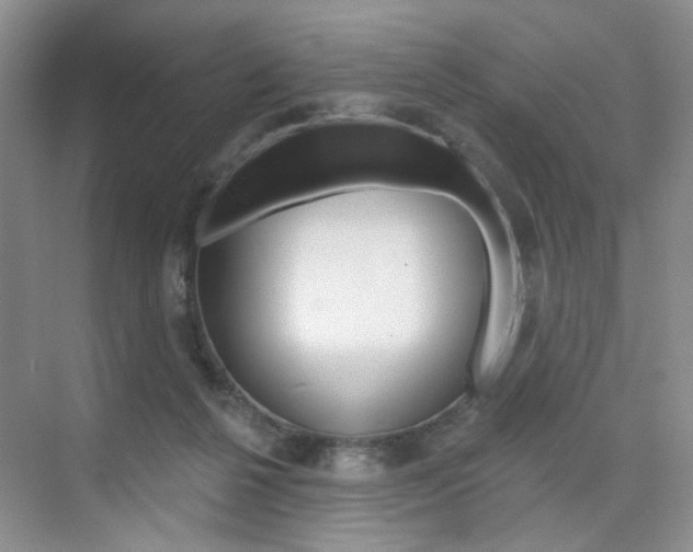 X0000076220264200609280929