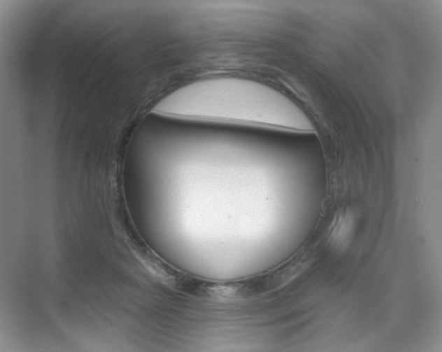 X0000076220265200609280929