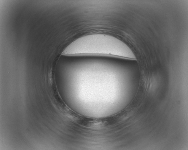 X0000076220267200609280929
