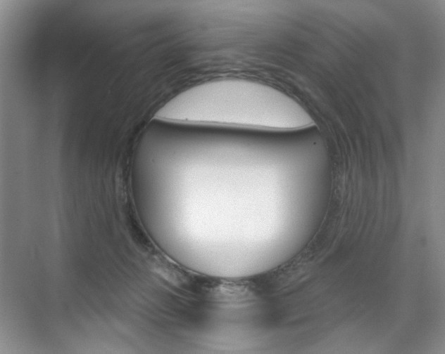 X0000076220270200609280929