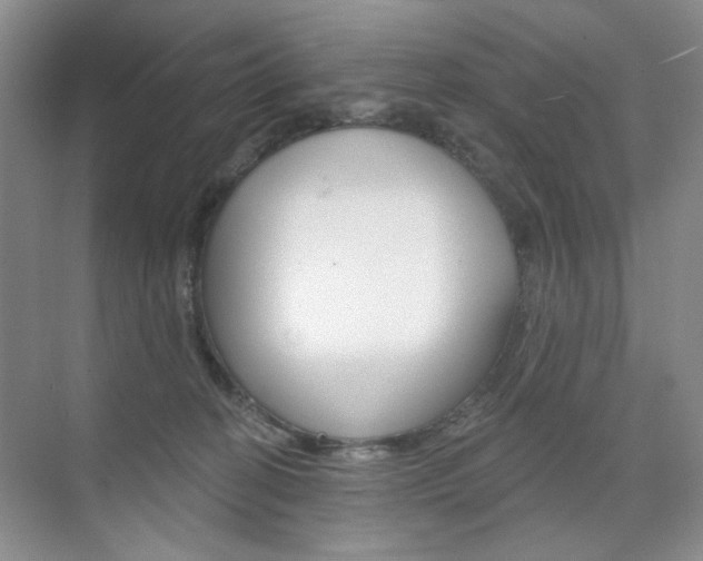 X0000076220274200609280929