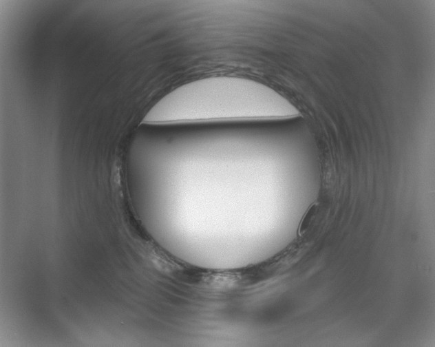 X0000076220282200609280929