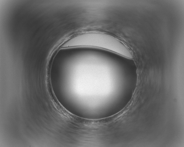 X0000076220293200609280928