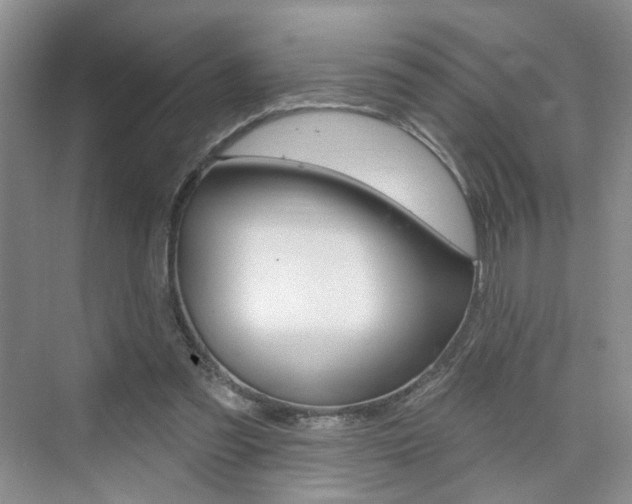 X0000076220301200609280928