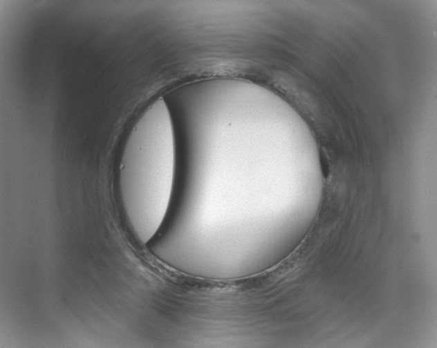 X0000076220306200609280928