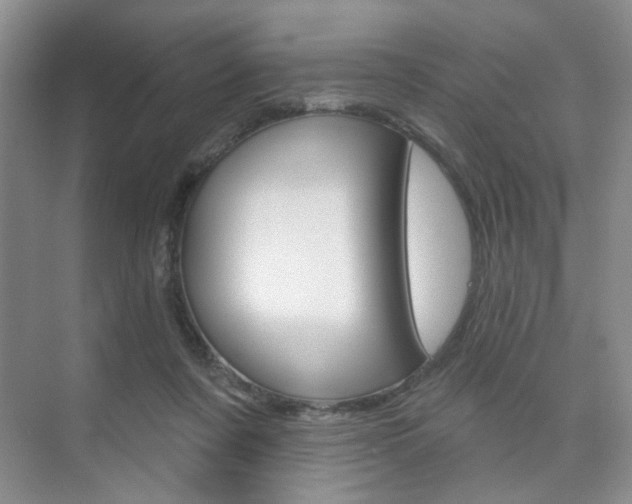 X0000076220311200609280928