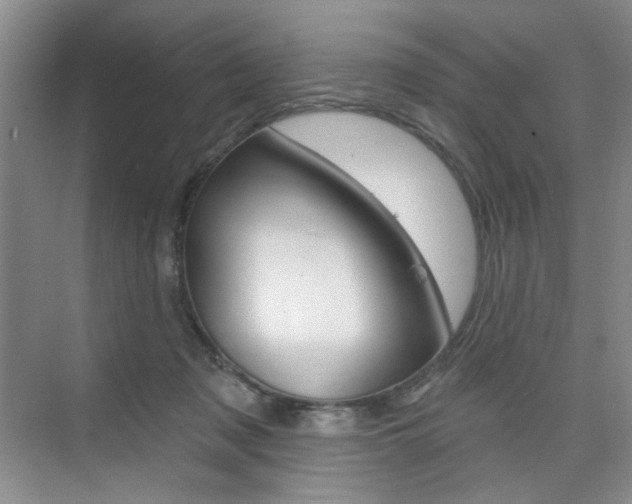 X0000076220317200609280928