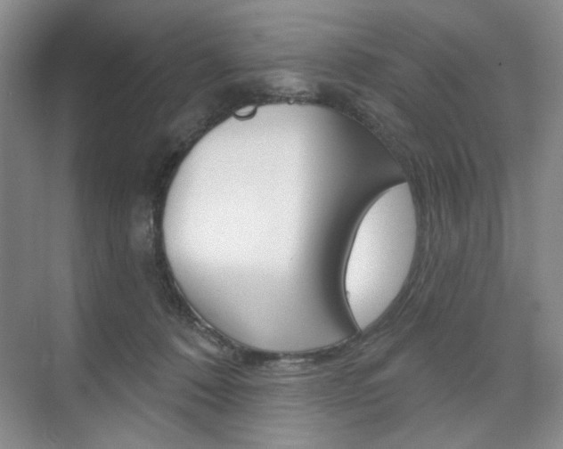 X0000076220320200609280928
