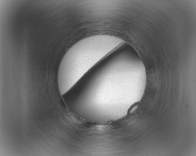X0000076220323200609280928