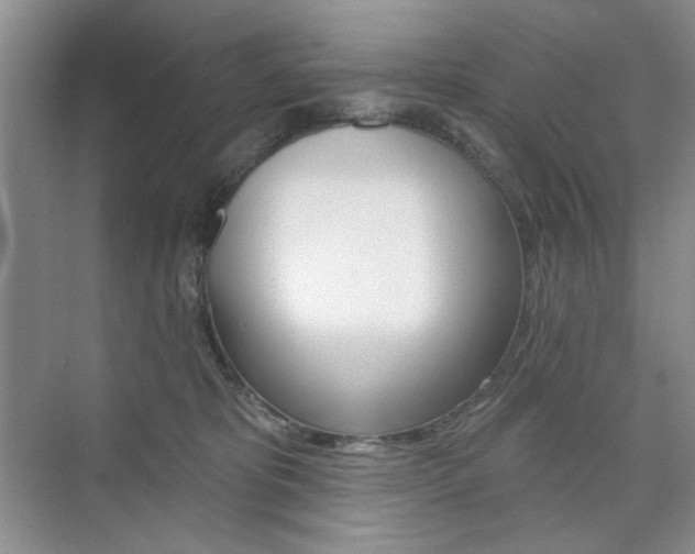 X0000076220325200609280928