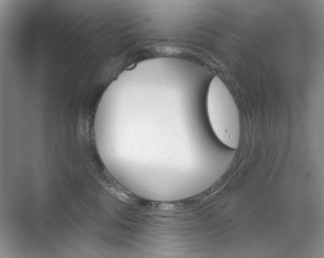 X0000076220330200609280928