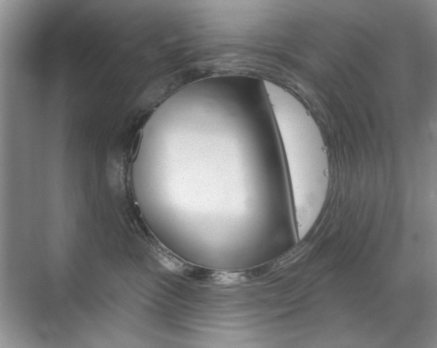 X0000076220333200609280928