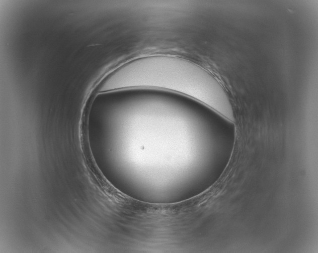 X0000076220340200609280927