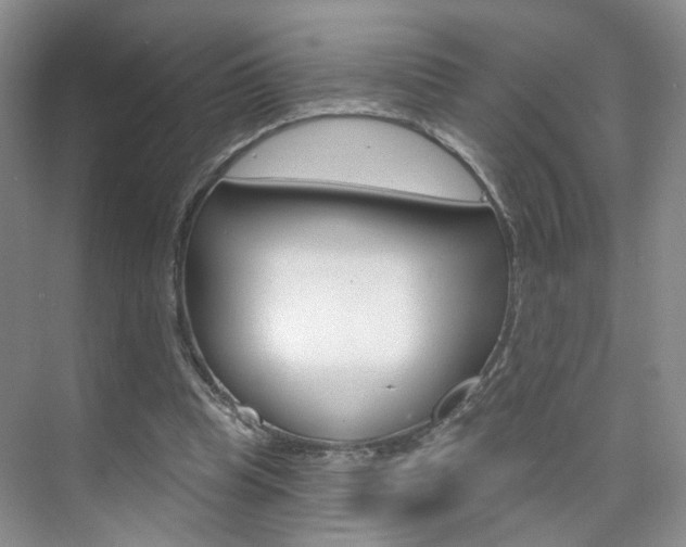 X0000076220345200609280927