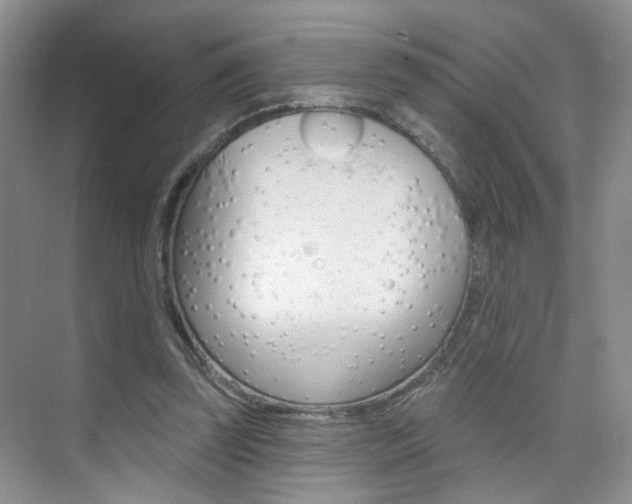 X0000076220347200609280927