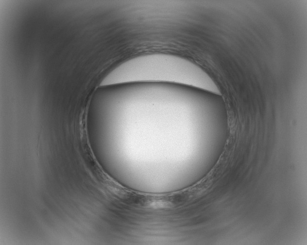 X0000076220360200609280927