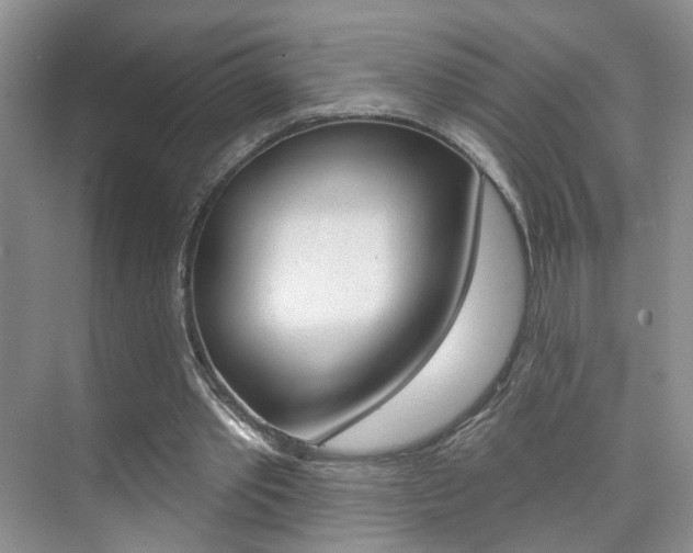 X0000076220389200609280927