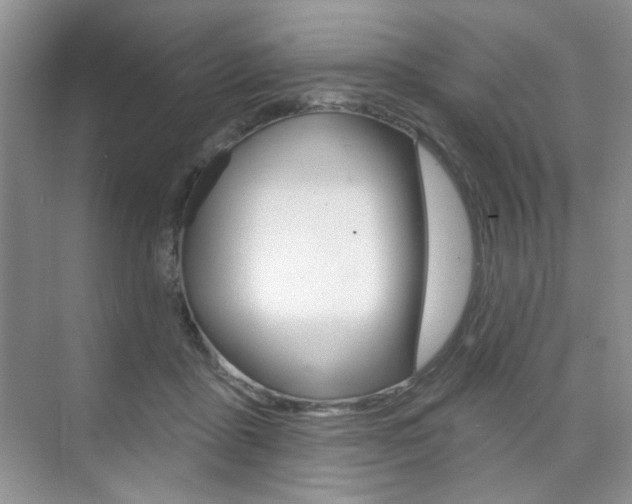 X0000076220411200609280926