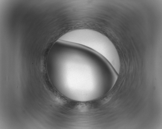 X0000076220416200609280926