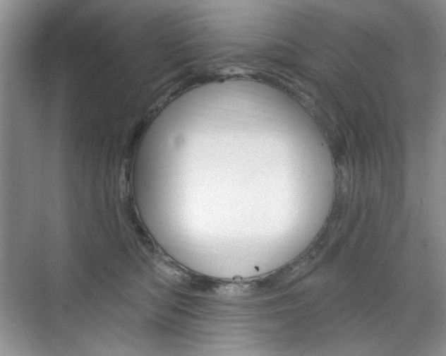 X0000076220422200609280926